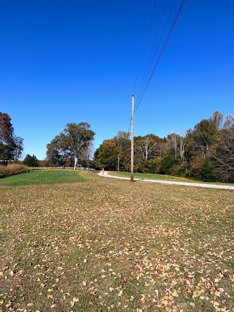 1420 Liberty Rd, Charlotte, TN 37036