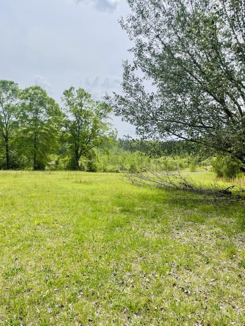 251 Ramey Rd, Trion, GA 30753