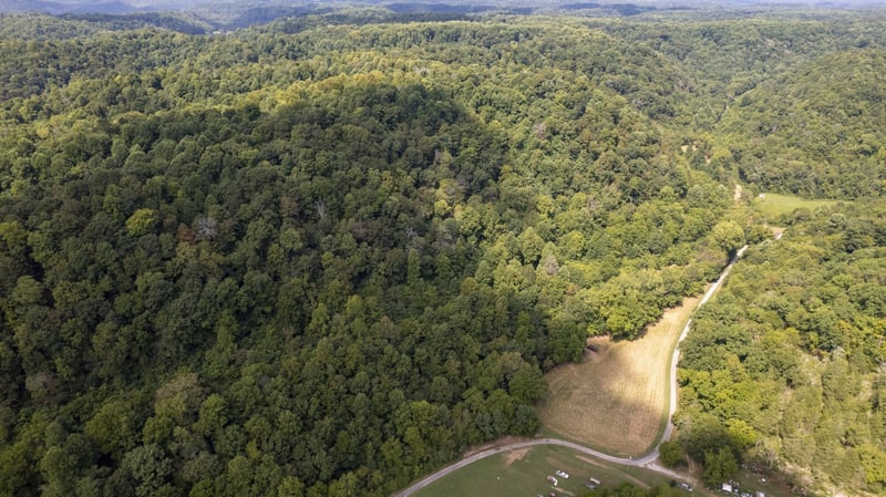 0 Smith Hollow Ln, Pleasant Shade, TN 37145