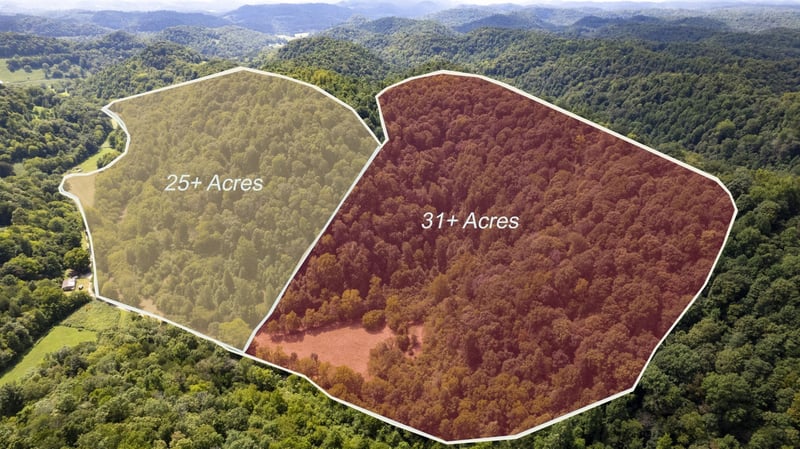 0 Smith Hollow Ln, Pleasant Shade, TN 37145