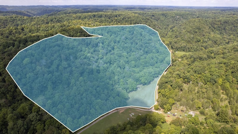 0 Smith Hollow Ln, Pleasant Shade, TN 37145