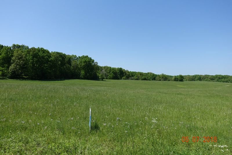 9017 Locust Creek Ln, Primm Springs, TN 38476