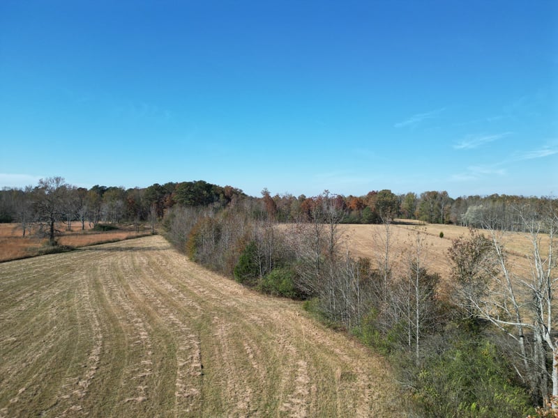 0 Lambert Rd, Elkmont, AL 35620