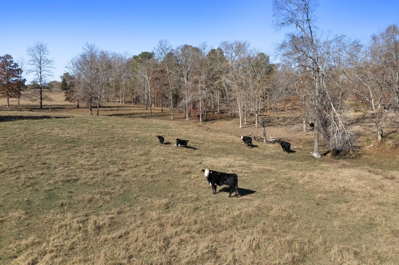 300 Hidden Creek Ln, La Fayette, GA 30728