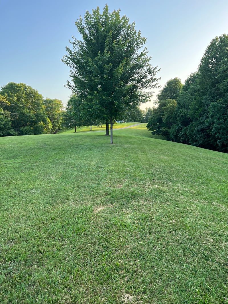 329 Pea Ridge Rd, Elmwood, TN 38560