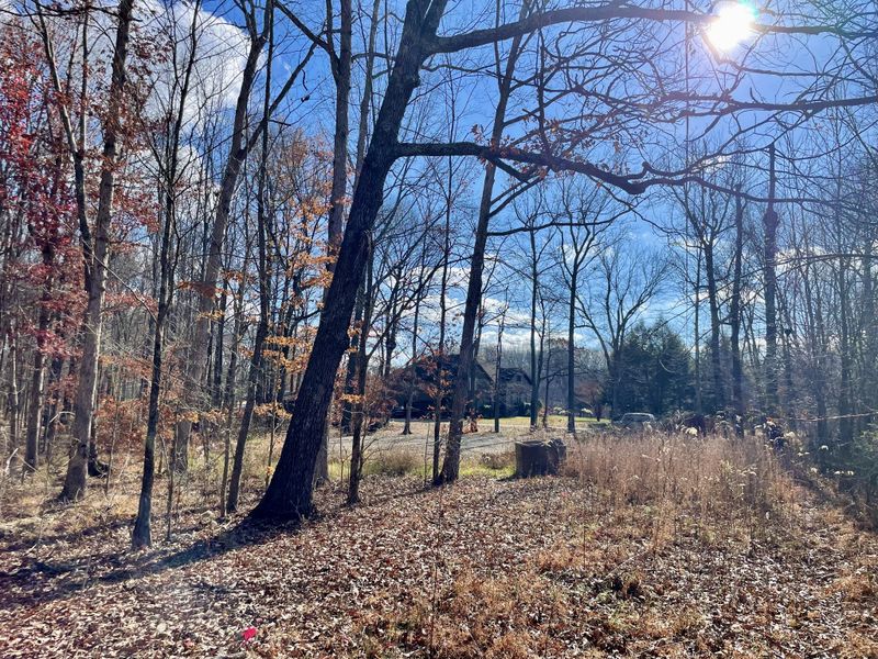 0 South Pinson Dr, White House, TN 37188