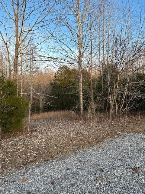 0 Highway 48 North, Cumberland Furnace, TN 37051