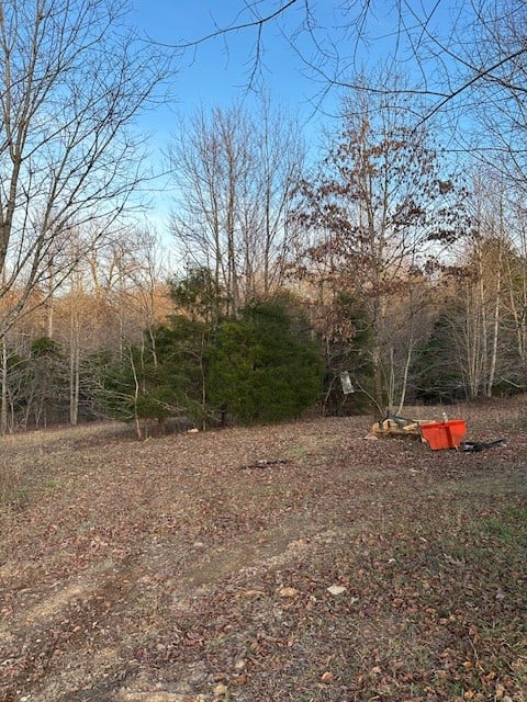 0 Highway 48 North, Cumberland Furnace, TN 37051