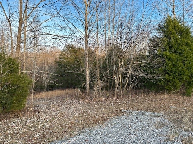 0 Highway 48 North, Cumberland Furnace, TN 37051