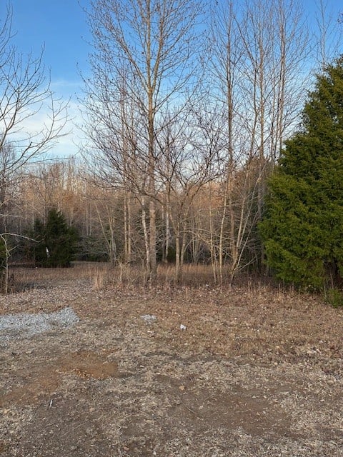 0 Highway 48 North, Cumberland Furnace, TN 37051