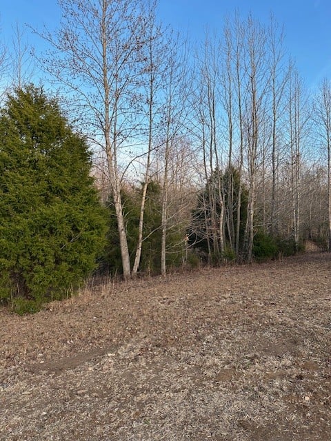 0 Highway 48 North, Cumberland Furnace, TN 37051
