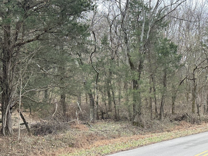 0 Sherrilltown Rd, Watertown, TN 37184