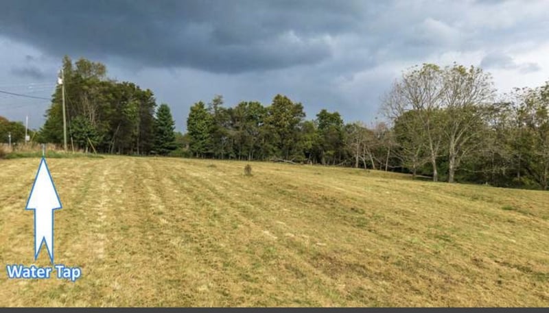 8254 Hawkins Rd, College Grove, TN 37046
