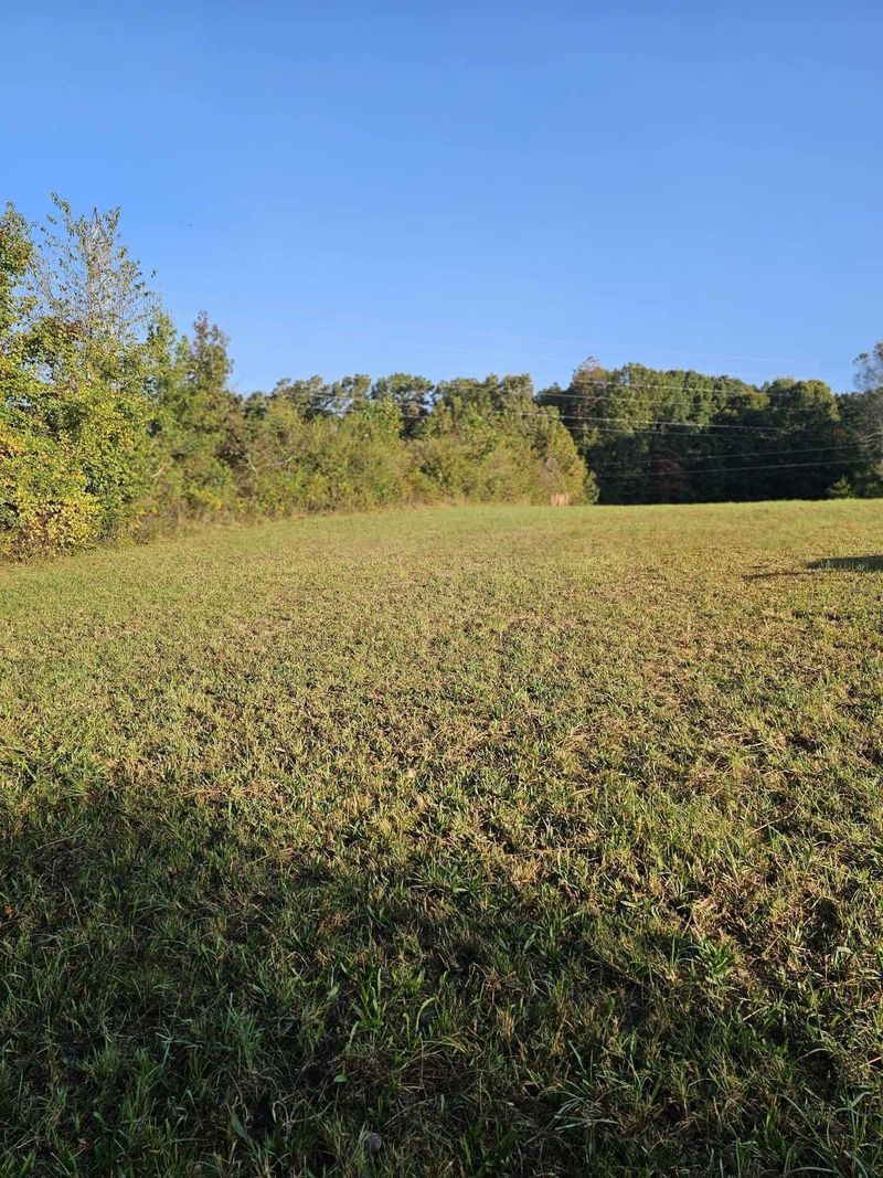 0 Co Rd 93, Bryant, AL 35958