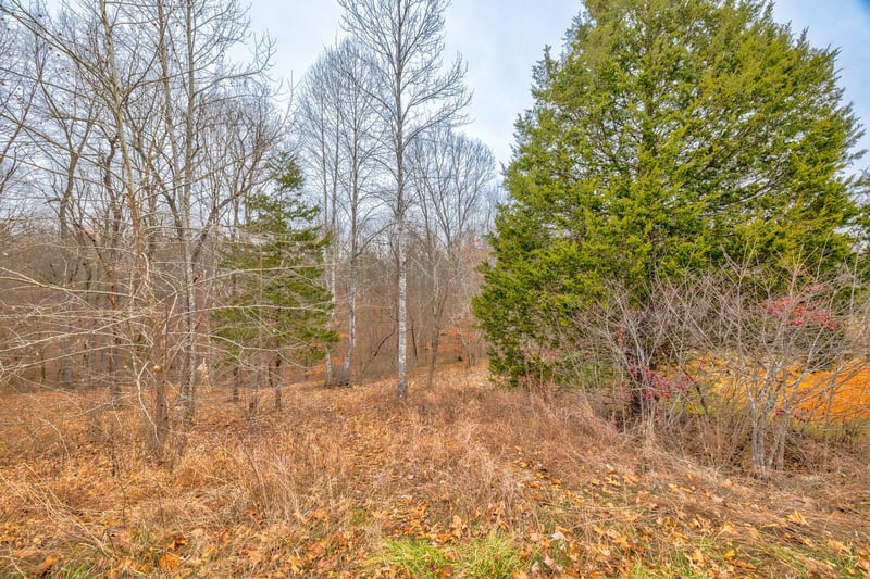 1104 Jacobs Ct, Joelton, TN 37080
