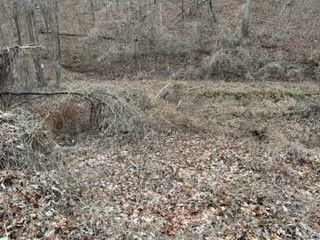 3769 Bear Hollow Rd, Joelton, TN 37080