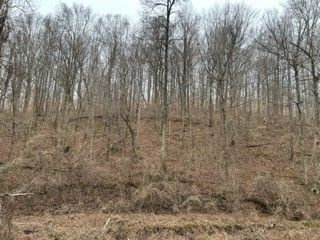 3769 Bear Hollow Rd, Joelton, TN 37080