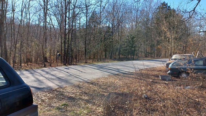 7095 Lick Creek Rd, Primm Springs, TN 38476