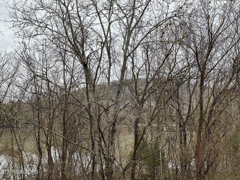 363 Enigma Rd, Chestnut Mound, TN 38552