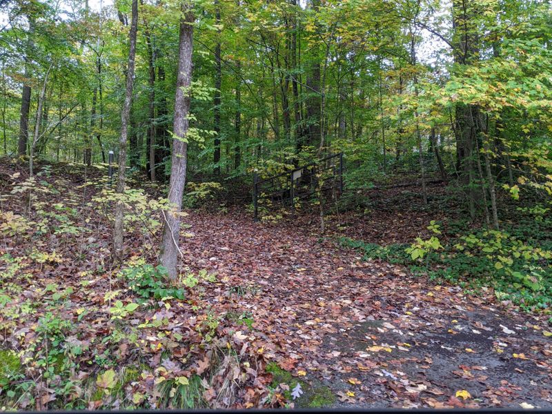 0 Old Chattanooga Valley Rd, Flintstone, GA 30725