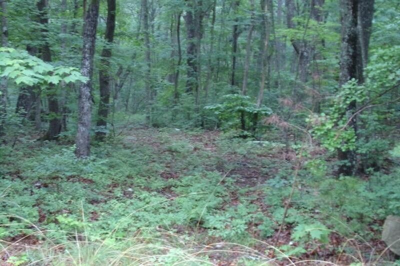 0 Forester Overlook Dr Lot 3, Cloudland, GA 30731