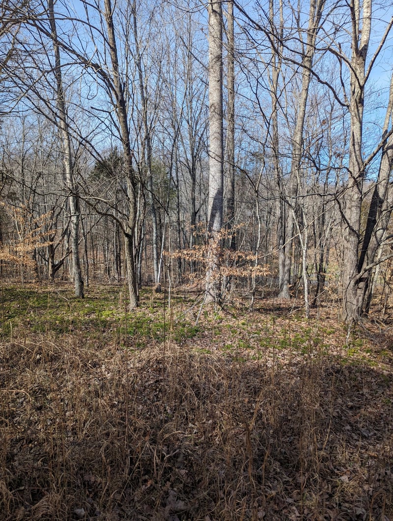 0 Clyde Wix Rd, Westmoreland, TN 37186