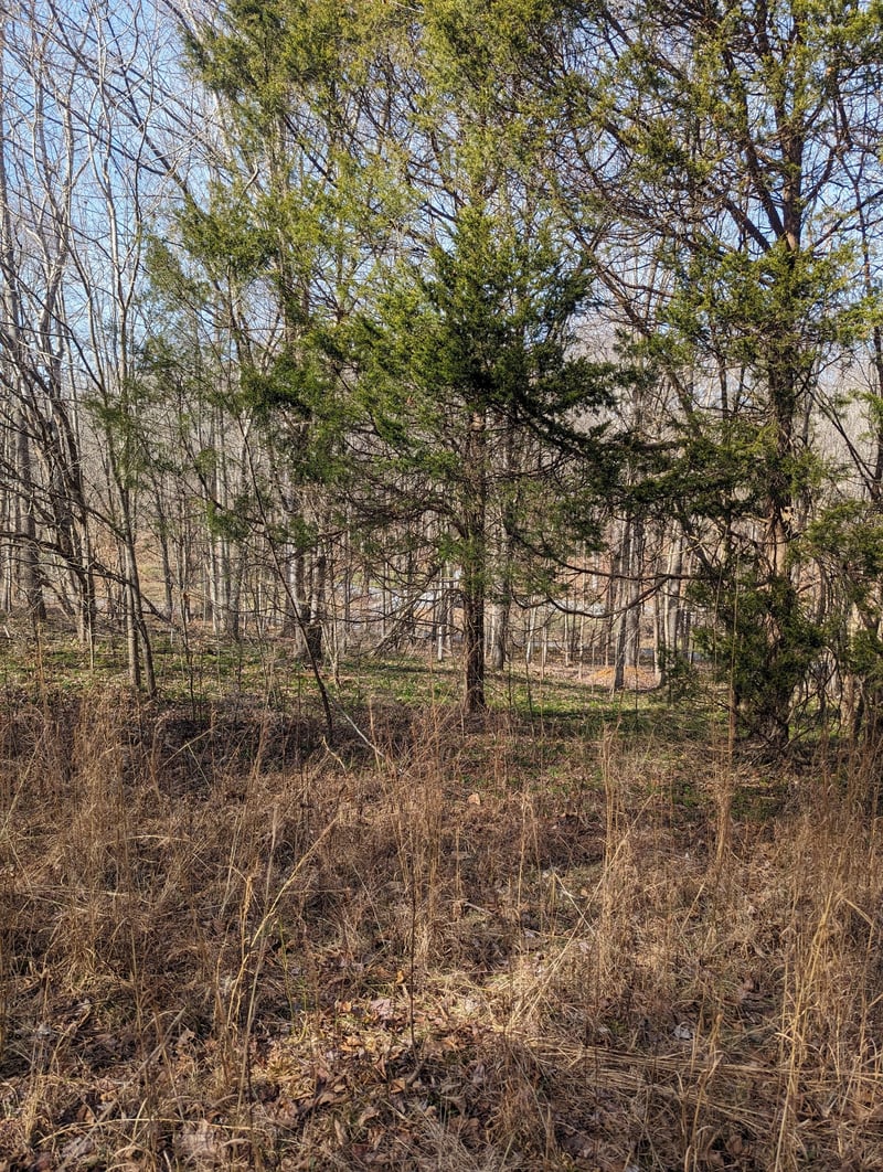 0 Clyde Wix Rd, Westmoreland, TN 37186