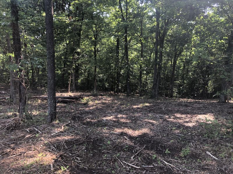 0 Murphy Hollow Road Tract 3, Vanleer, TN 37181