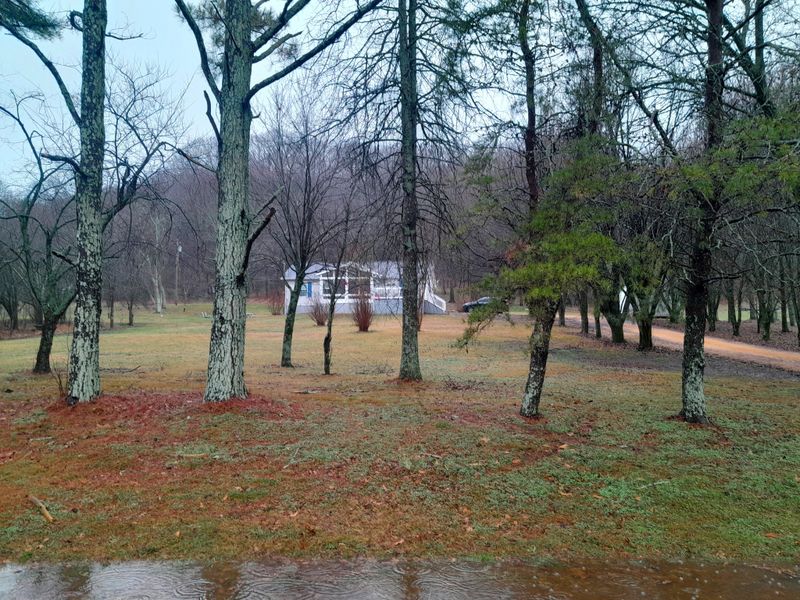 4010 Rippey Lake Rd, Mount Pleasant, TN 38474