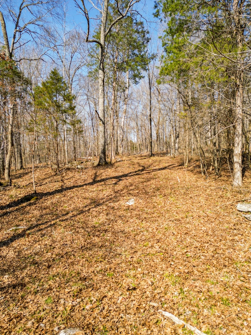 0 Scribners Mill Rd, Culleoka, TN 38451