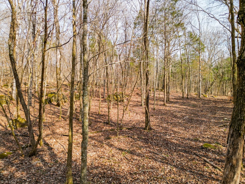 0 Scribners Mill Rd, Culleoka, TN 38451