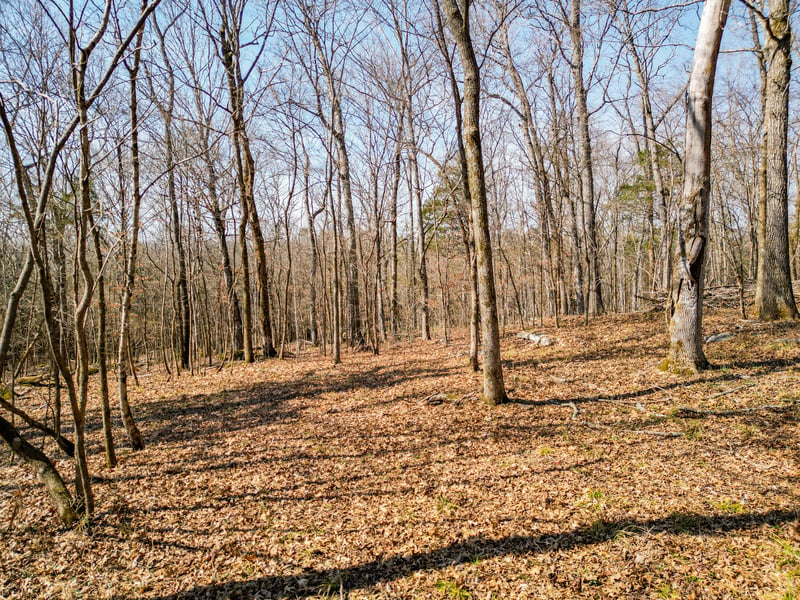 0 Scribners Mill Rd, Culleoka, TN 38451