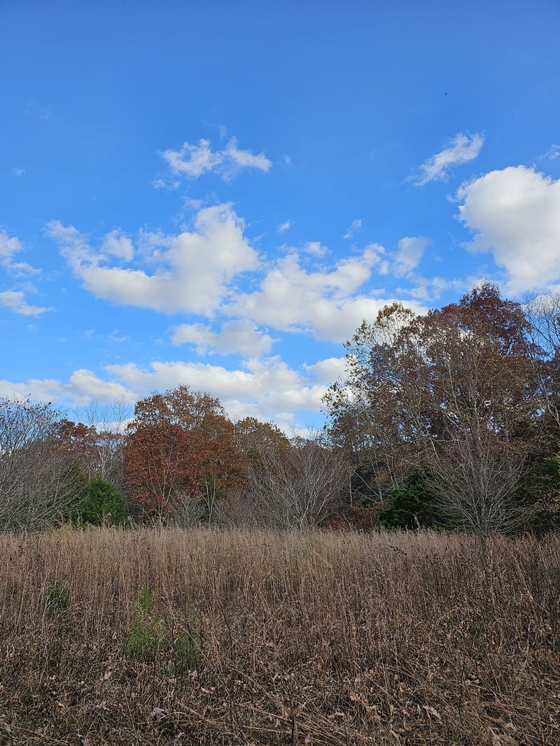 0 Union Valley Rd, Fairview, TN 37062