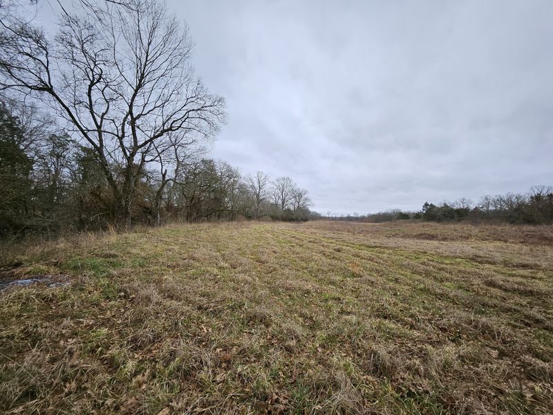0 Don Bruce Ct, Christiana, TN 37037