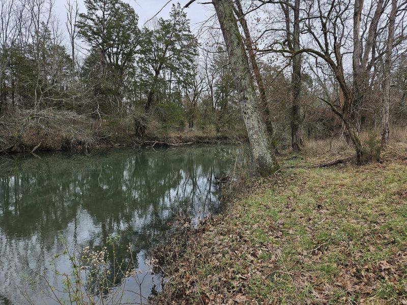0 Don Bruce Ct, Christiana, TN 37037