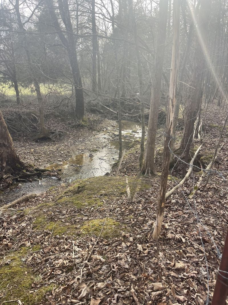 0 Dobbins Pike, Portland, TN 37148