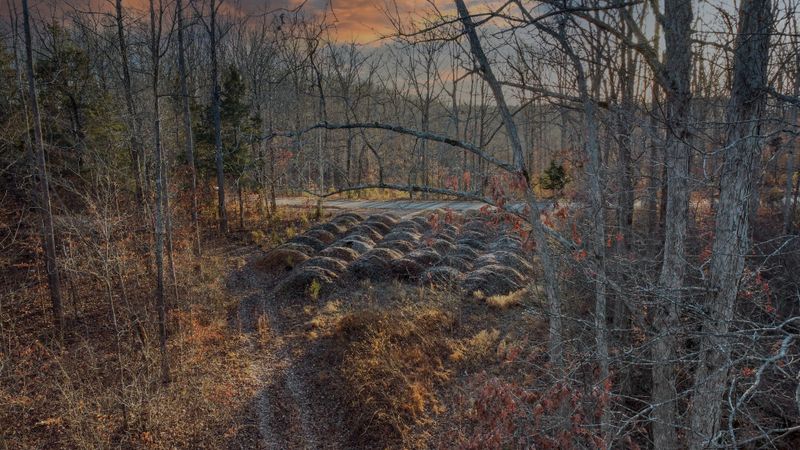 0 Timber Ridge Rd, Charlotte, TN 37036
