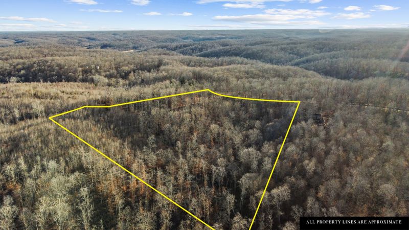 0 Timber Ridge Rd, Charlotte, TN 37036