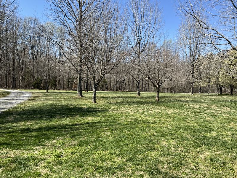 2511 Chambliss Rd, Pleasant View, TN 37146