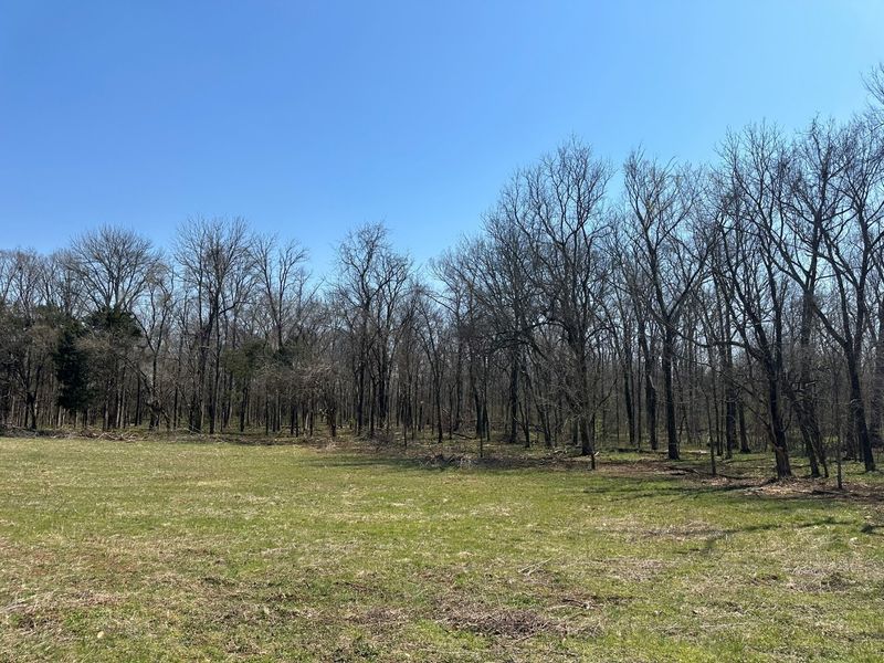 0 Rucker Rd Tract 4, Christiana, TN 37037