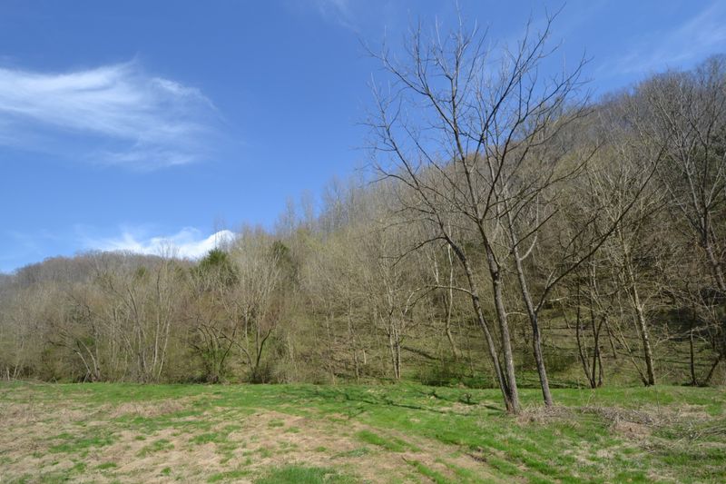 49 Saint Marys Rd, Chestnut Mound, TN 38552