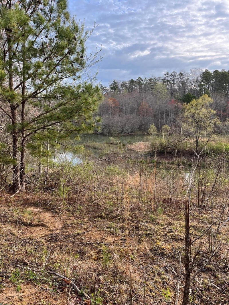 0 Al Hwy 73, Bryant, AL 35958
