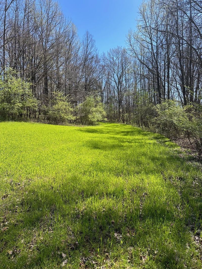 0 Pope Rd, Elkmont, AL 35620