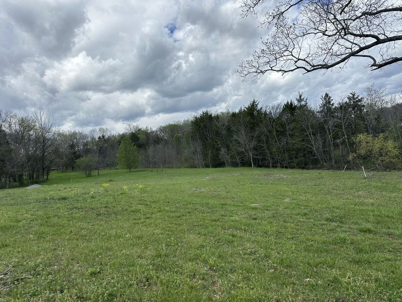 7428 Midland Rd, Christiana, TN 37037