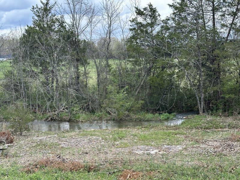7428 Midland Rd, Christiana, TN 37037