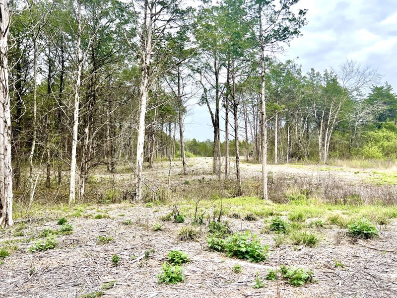 0 Christiana Hoovers Gap Rd, Christiana, TN 37037