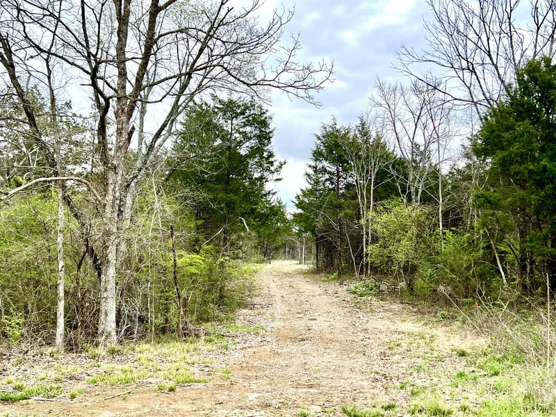 0 Christiana Hoovers Gap Rd, Christiana, TN 37037
