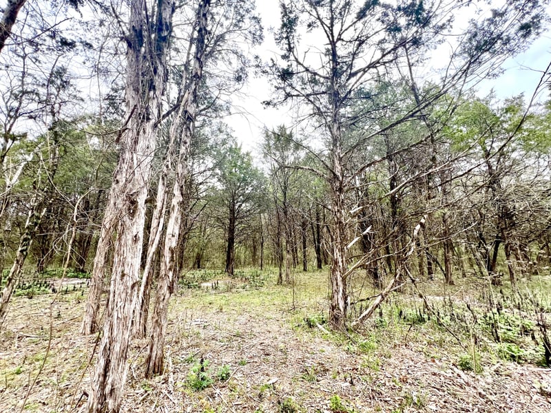 0 Christiana Hoovers Gap Rd, Christiana, TN 37037