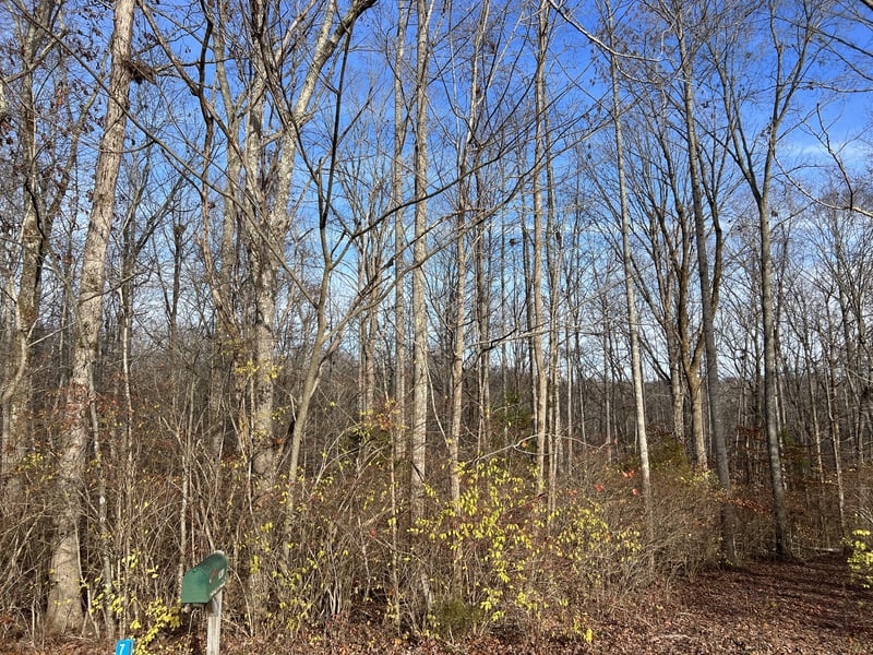 7402 Les Hughes Rd, Fairview, TN 37062