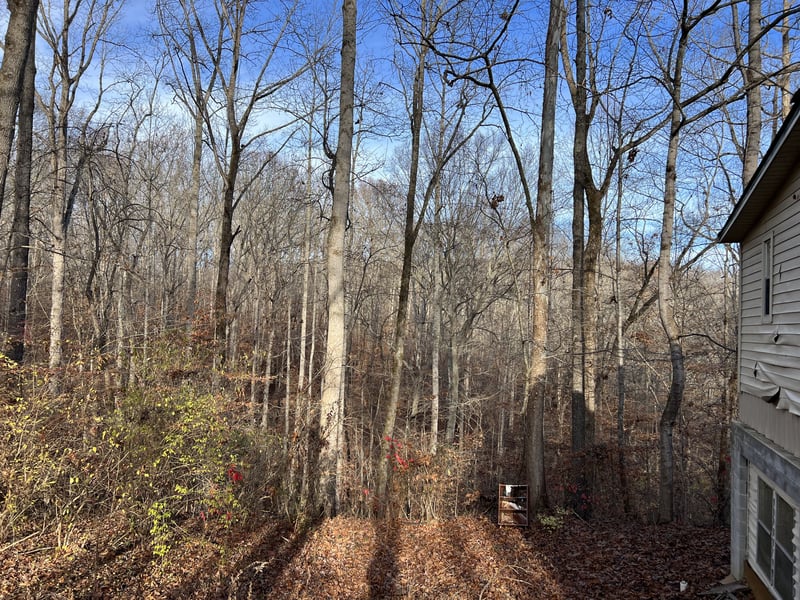 7402 Les Hughes Rd, Fairview, TN 37062